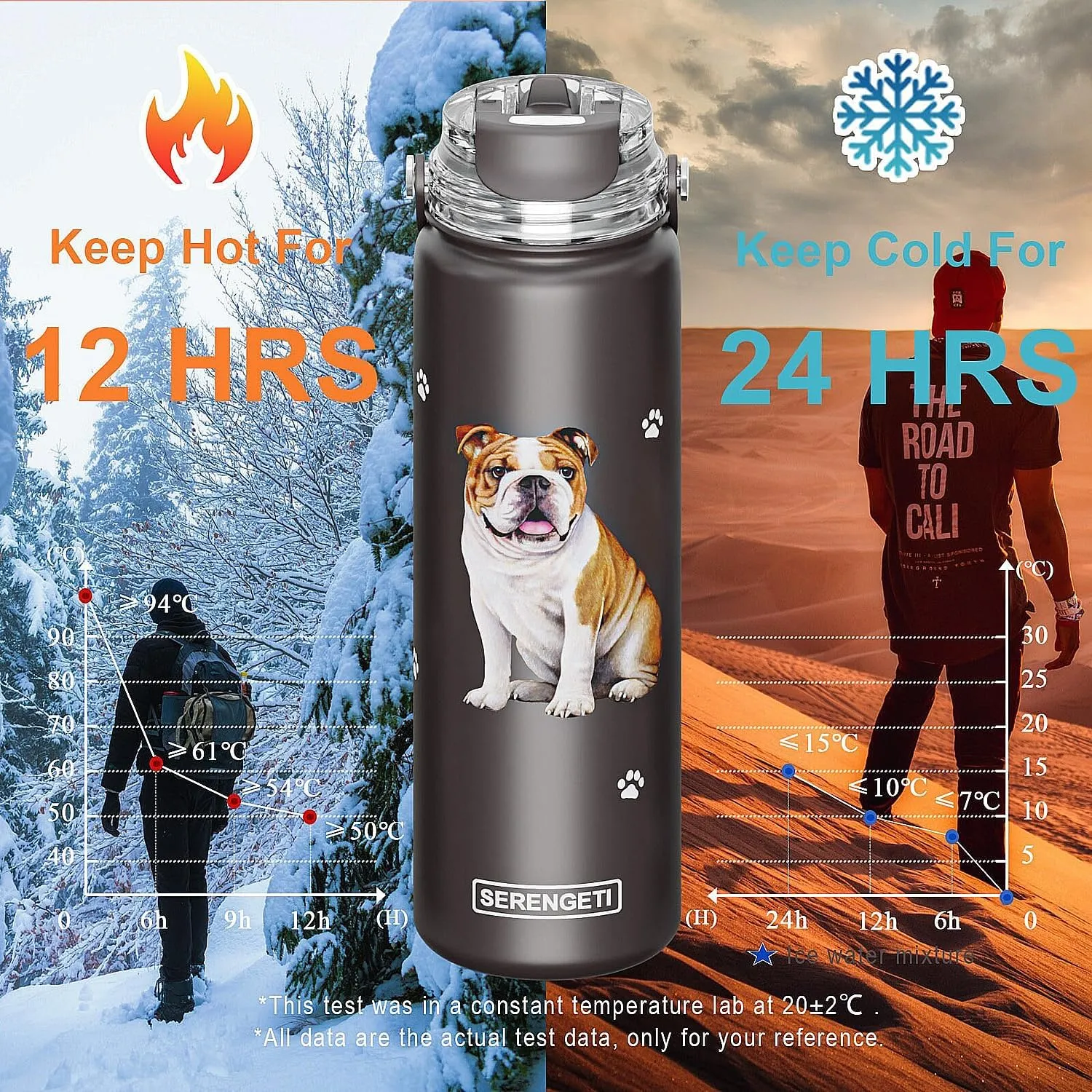SERENGETI 24 Oz Water Bottle Stainless Steel with Spill Proof Lid - Double walled Vacuum Insulated water flask - Realistic 3D Print of your favorite dog (Basset Hound)