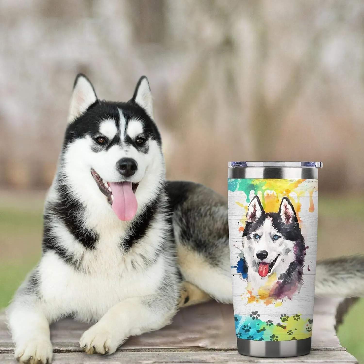 Siberian Husky Travel Tumbler-Vacuum Insulated Tumbler with Straw and Lid -20oz Stainless Steel Travel Mug for Dog Lovers (Siberian Husky)