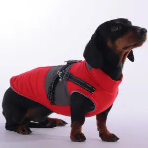 SnugDox Adjustable Dachshund Harness Jacket – Perfect for Cold Weather
