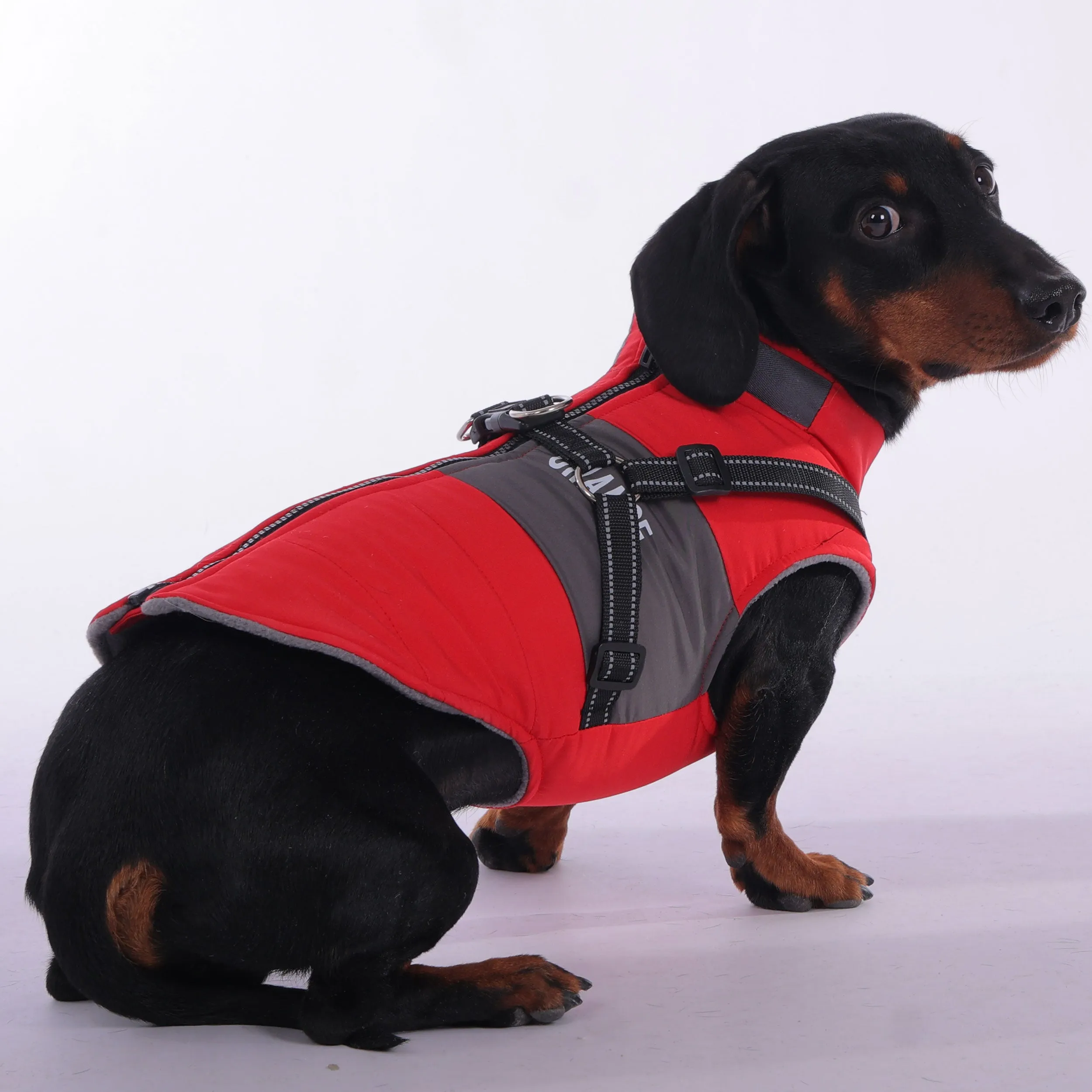 SnugDox Adjustable Dachshund Harness Jacket – Perfect for Cold Weather