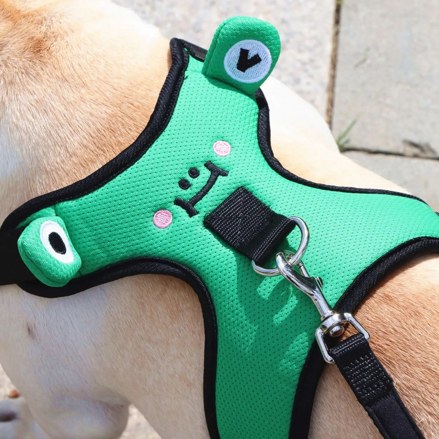 Soft Mesh Frenchie Harness with Leash – Escape-Proof Durable and Stylish Fit
