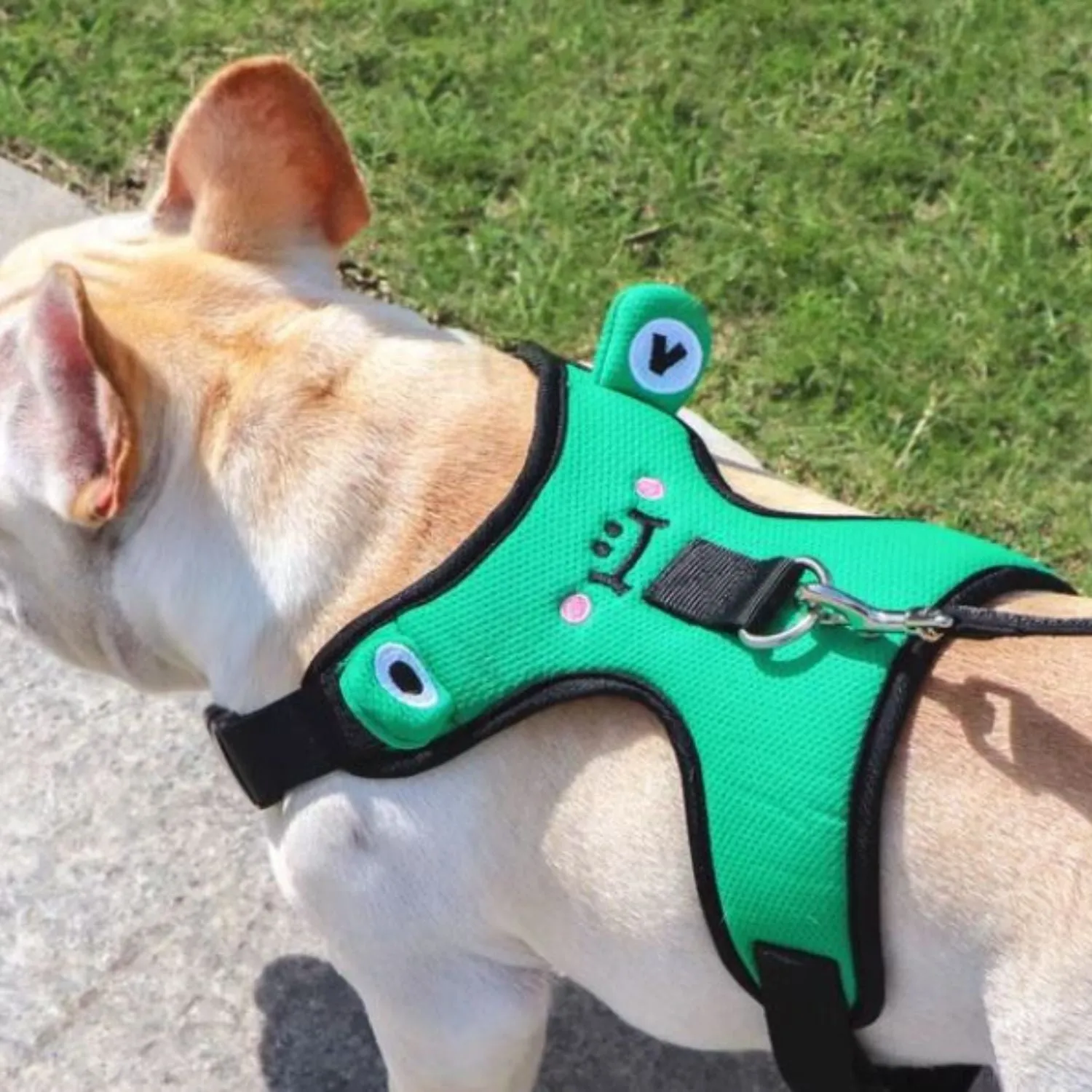 Soft Mesh Frenchie Harness with Leash – Escape-Proof Durable and Stylish Fit
