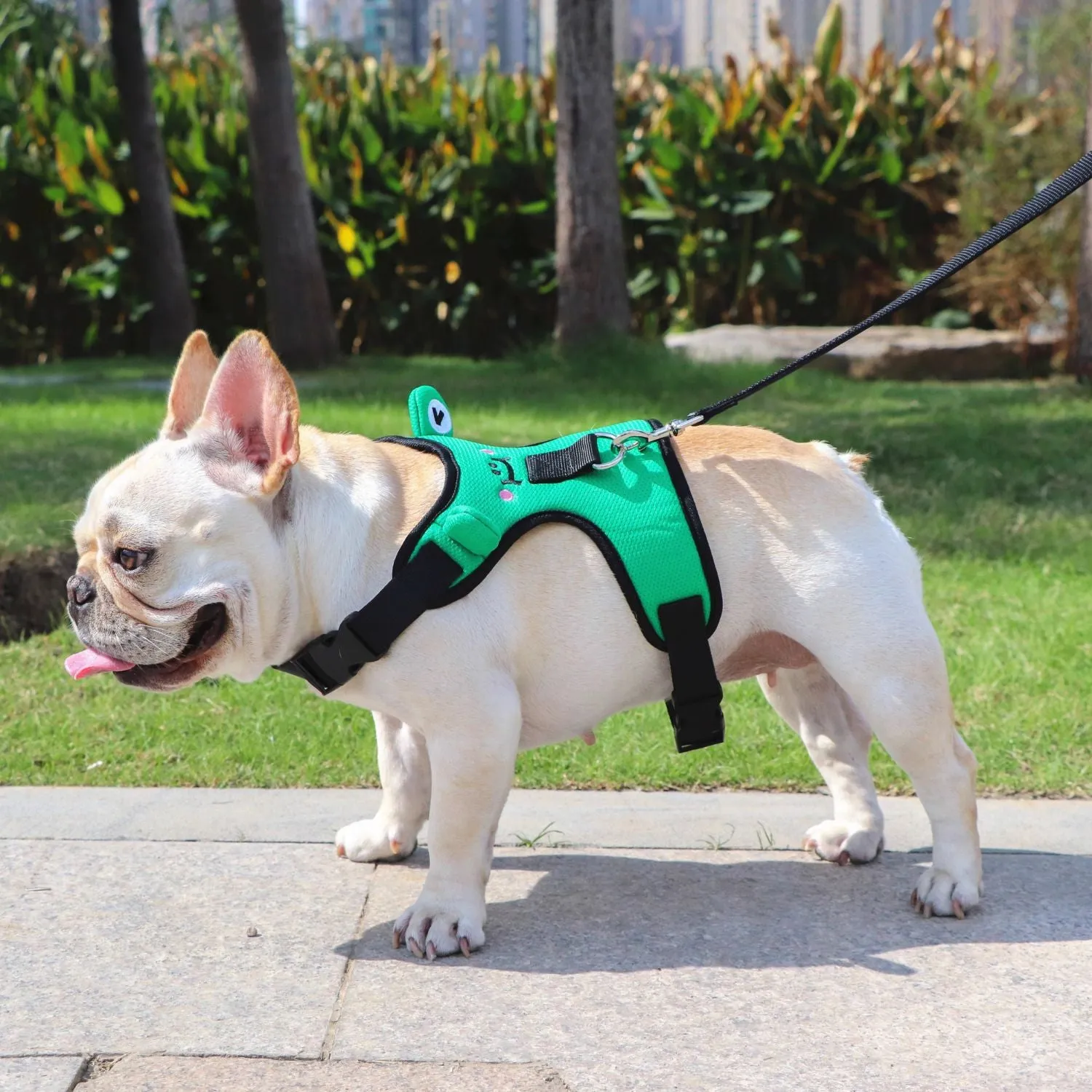 Soft Mesh Frenchie Harness with Leash – Escape-Proof Durable and Stylish Fit