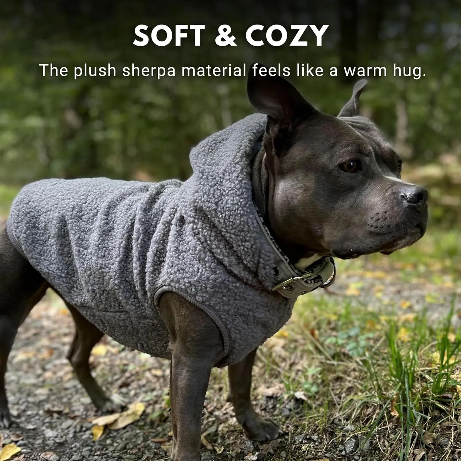Spark Paws Teddy Dog Sweater - Sherpa Hooded Vest with Warm Fleece Lining, Winter Coat Suitable for Small Medium Large XL XXL Breeds - Grey - S