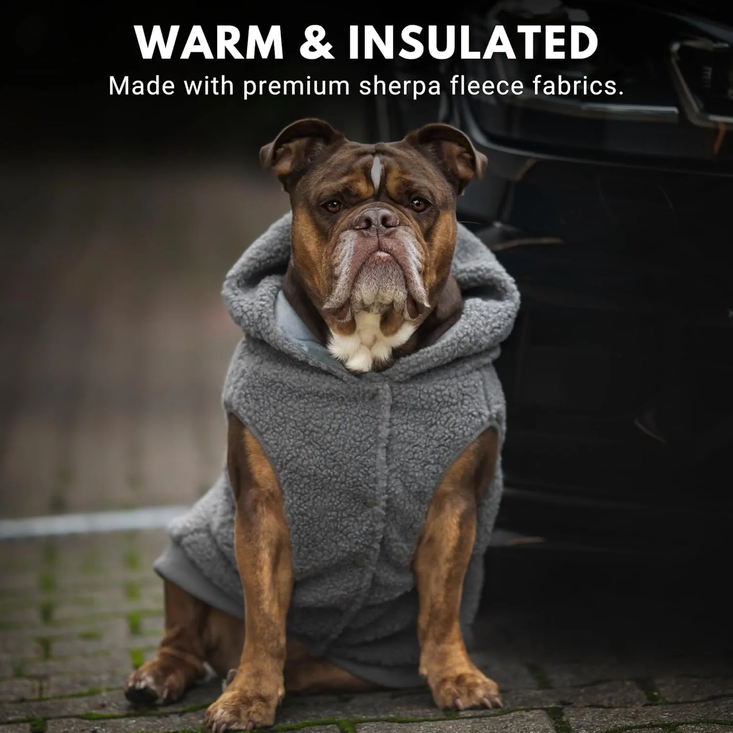 Spark Paws Teddy Dog Sweater - Sherpa Hooded Vest with Warm Fleece Lining, Winter Coat Suitable for Small Medium Large XL XXL Breeds - Grey - S