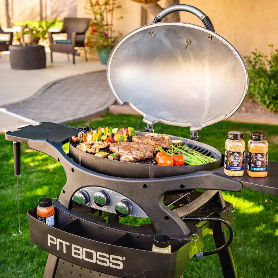 Sportsman 3 Gas Grill with Stand