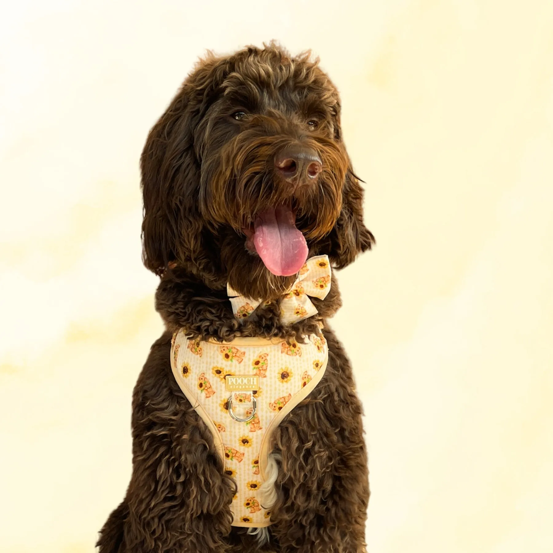 Sunflower Bears Adjustable Dog Harness