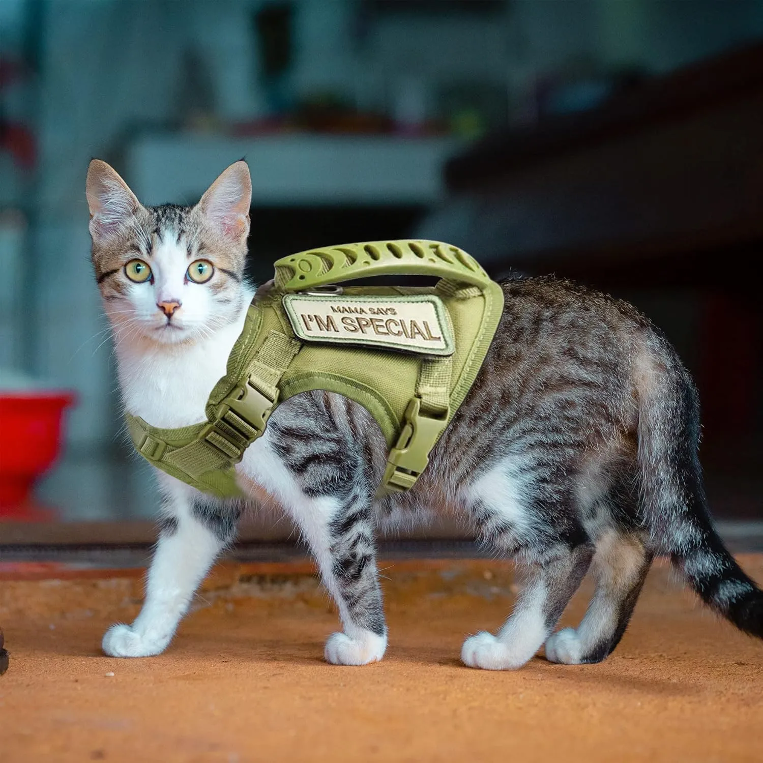 Tactical Cat Harness for Walking Escape Proof, Adjustable Pet Vest Harness, Soft Mesh with Control Handle for Large Cat,Puppy and Small Dog Harness, (Army Green,cat Harness only)