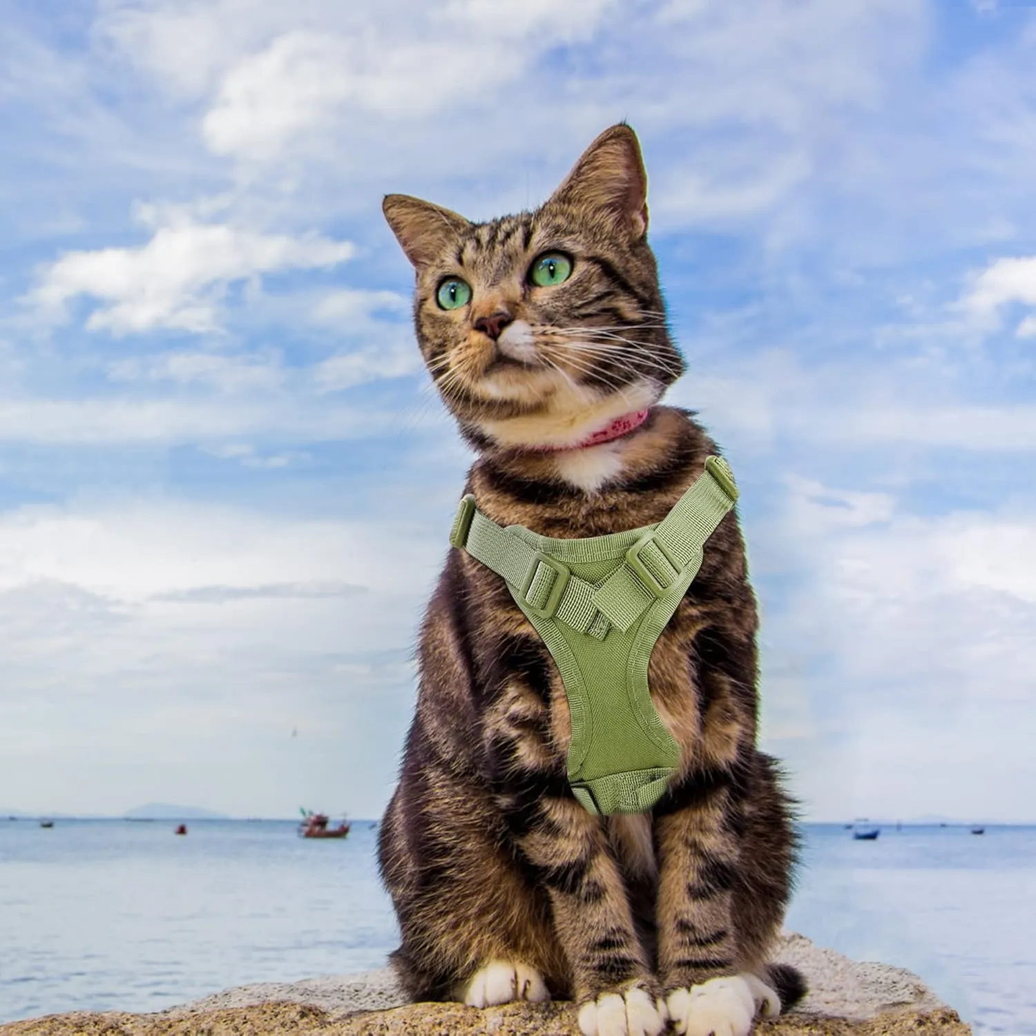 Tactical Cat Harness for Walking Escape Proof, Adjustable Pet Vest Harness, Soft Mesh with Control Handle for Large Cat,Puppy and Small Dog Harness, (Army Green,cat Harness only)