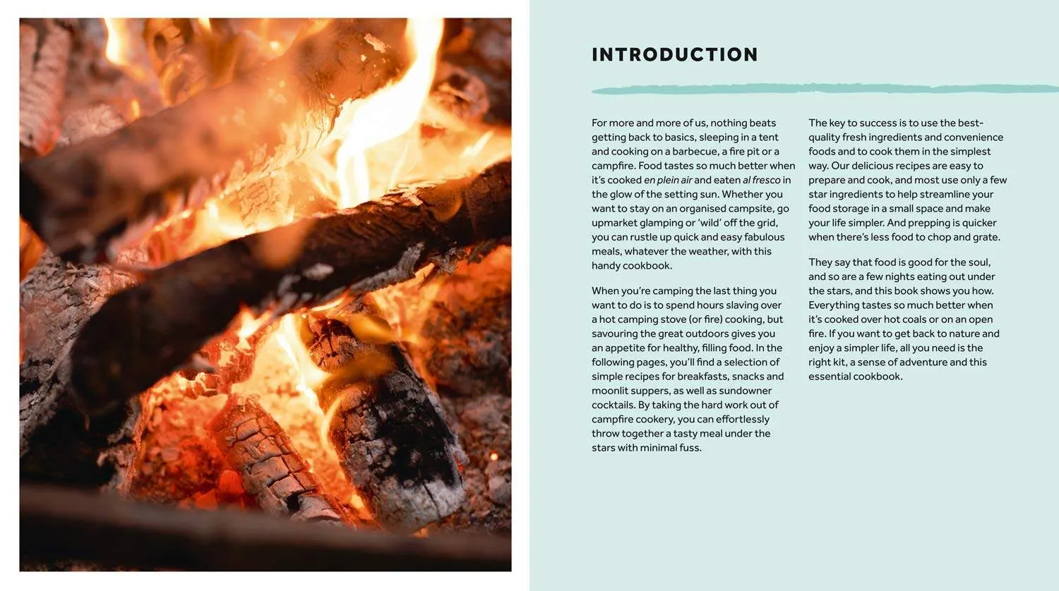 The Camping Cookbook