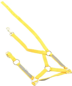 Toyvian Adjustable Reflective Horse Halter for Cob Horses Durable Webbing Portable Riding Equipment for Night Visibility Easy to Use Rope Halters