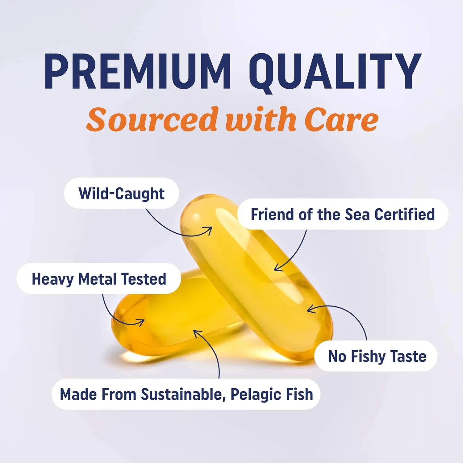 Triple Strength Omega 3 Fish Oil 1200 mg | EPA & DHA | Wild Caught, Sustainably Sourced Omega-3 Fatty Acids | Premium Burpless Fish Oil Supplements | Non-GMO, Third-Party Tested | 30 Softgels