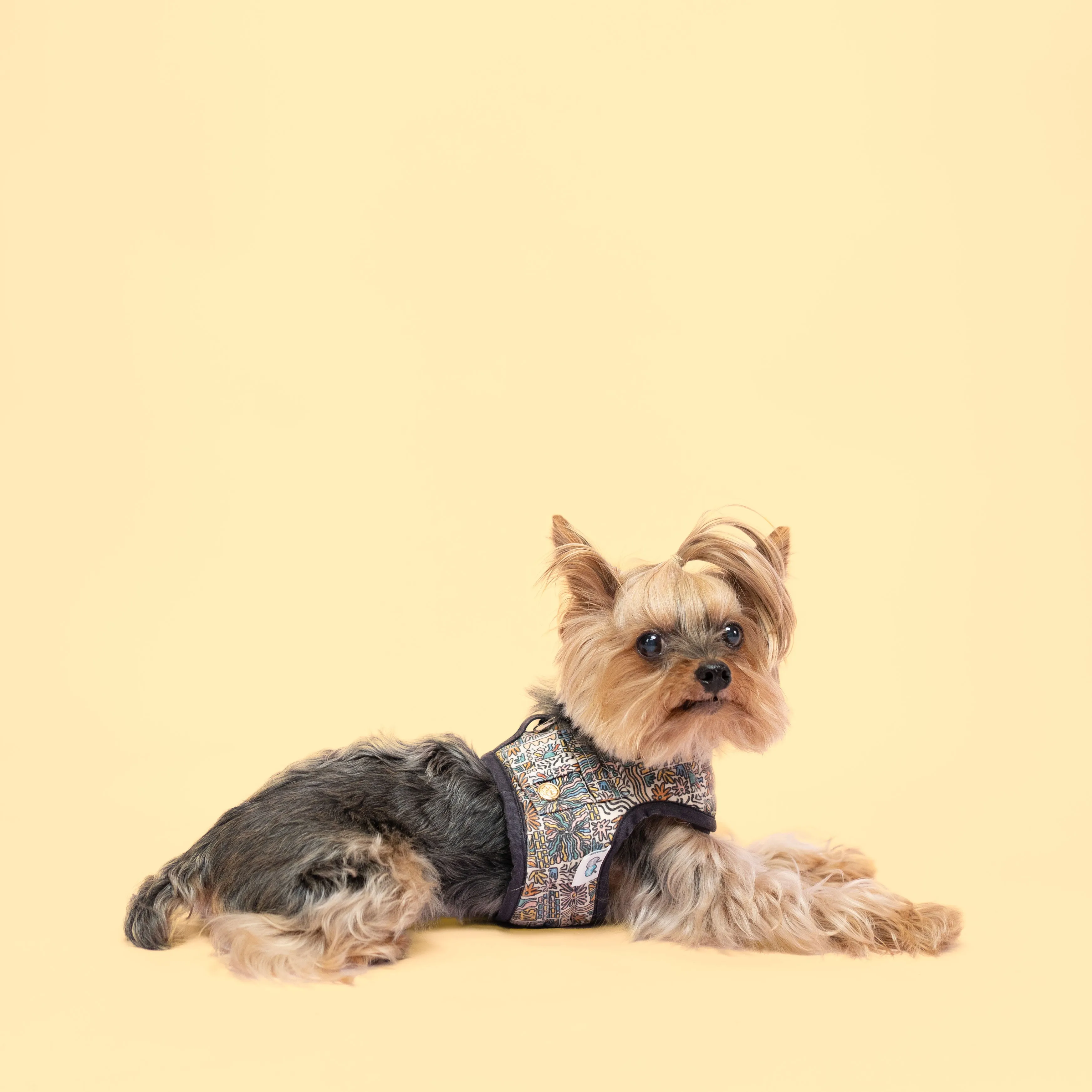 Velcro Harness - Abstract Sun Doodle Print