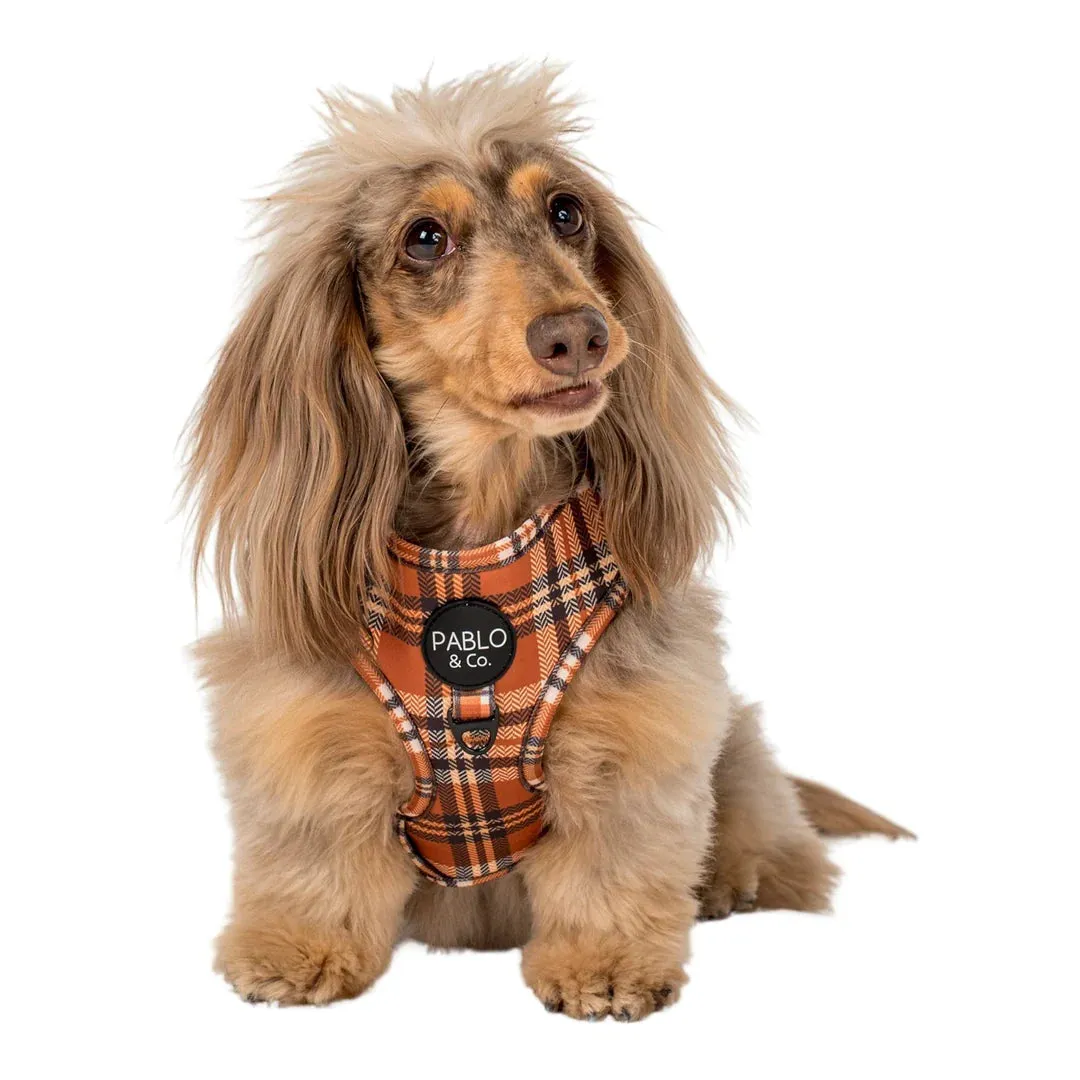 Vintage Plaid Adjustable Harness