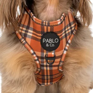 Vintage Plaid Adjustable Harness