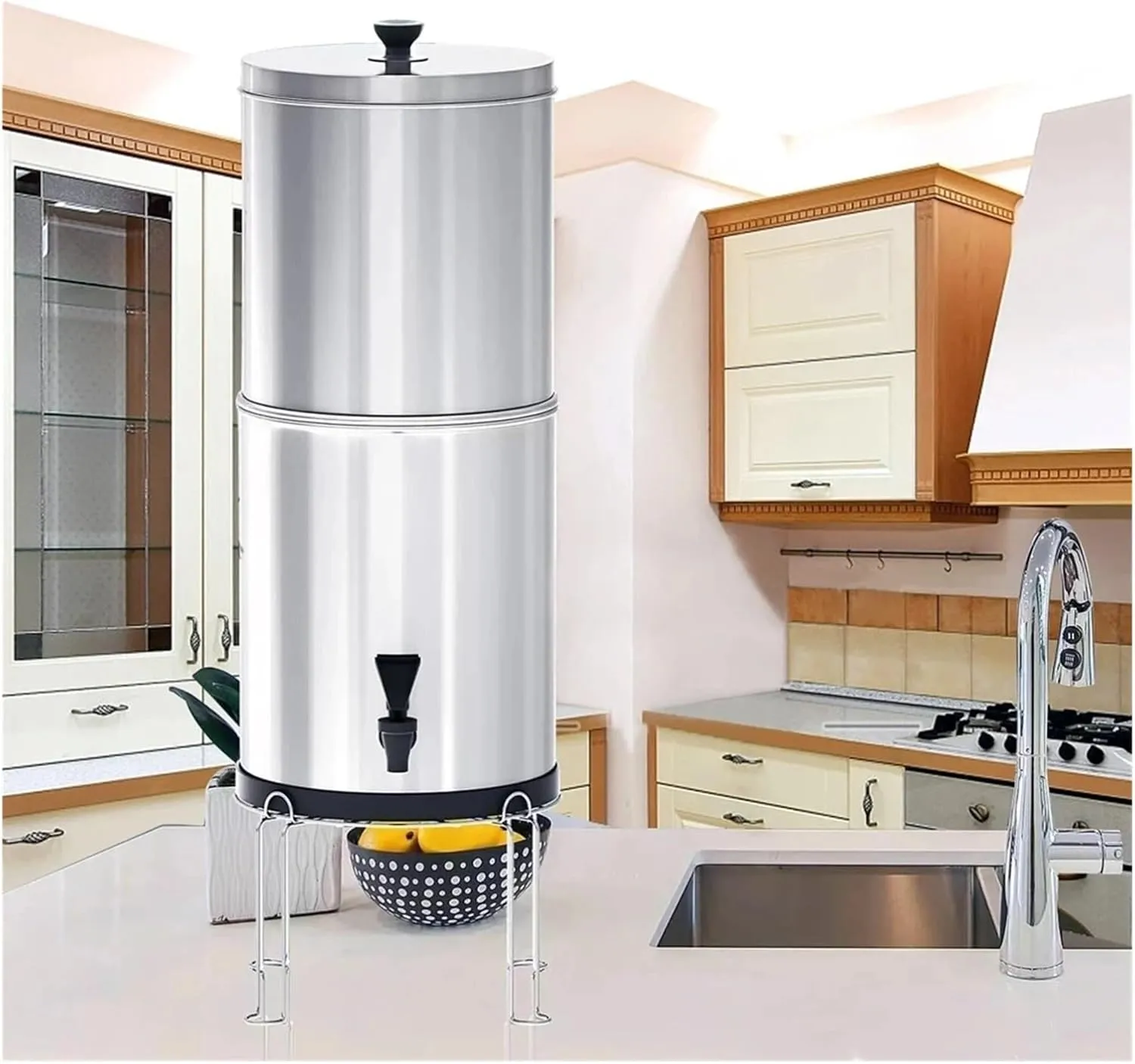 Water Purification Filter Feed Water Filtration, 2-Gallon Stainless Steel mesa Filtration, Suitable for Home and Outdoor use(2)
