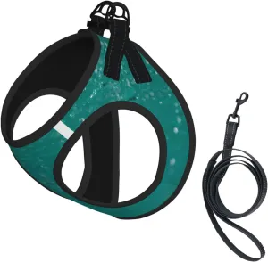 Water Splash Print No Pull Dog Harness and Leash Set Reflective Adjustable Step-in Puppy Pet Vest Harnesses for Small Dogs and Cats