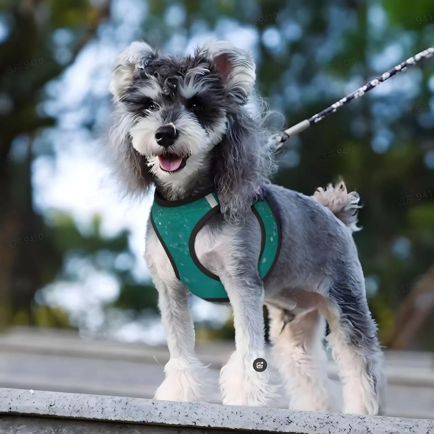 Water Splash Print No Pull Dog Harness and Leash Set Reflective Adjustable Step-in Puppy Pet Vest Harnesses for Small Dogs and Cats