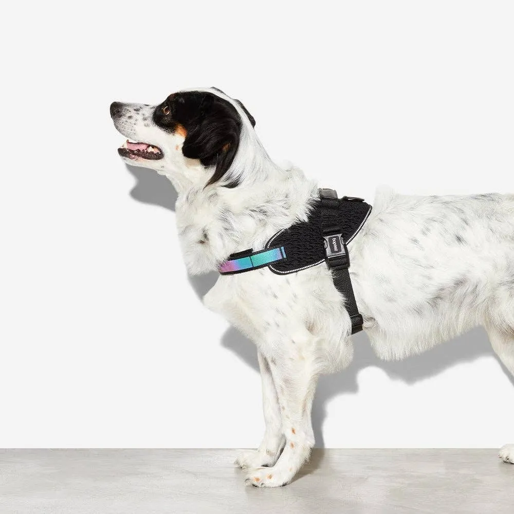 Zee.Dog - Gotham | FlyHarness: Size 3