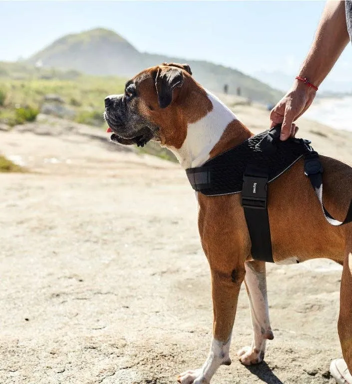 Zee.Dog - Gotham | FlyHarness: Size 3