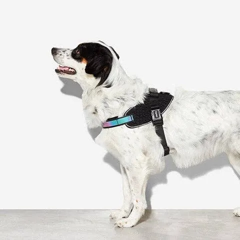 Zee.Dog - Gotham | FlyHarness: Size 3