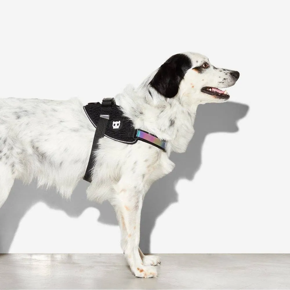 Zee.Dog - Gotham | FlyHarness: Size 3