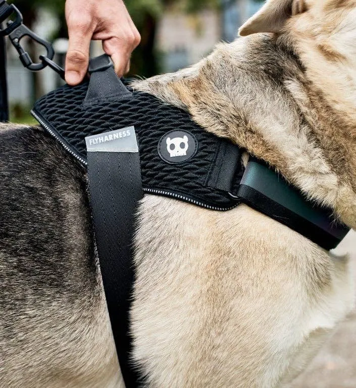 Zee.Dog - Gotham | FlyHarness: Size 3