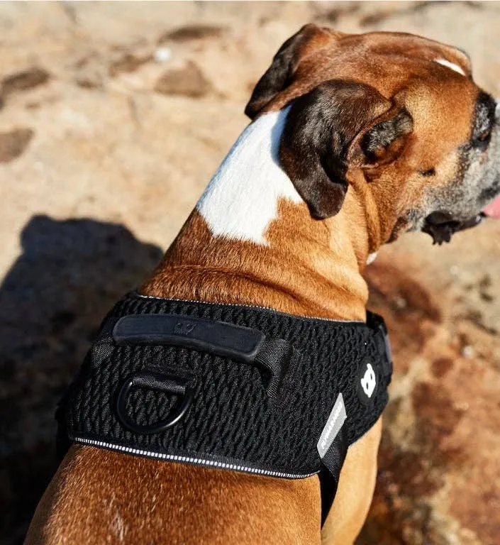 Zee.Dog - Gotham | FlyHarness: Size 3